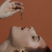 Load image into Gallery viewer, GHO Sculpture Life Small Earrings
