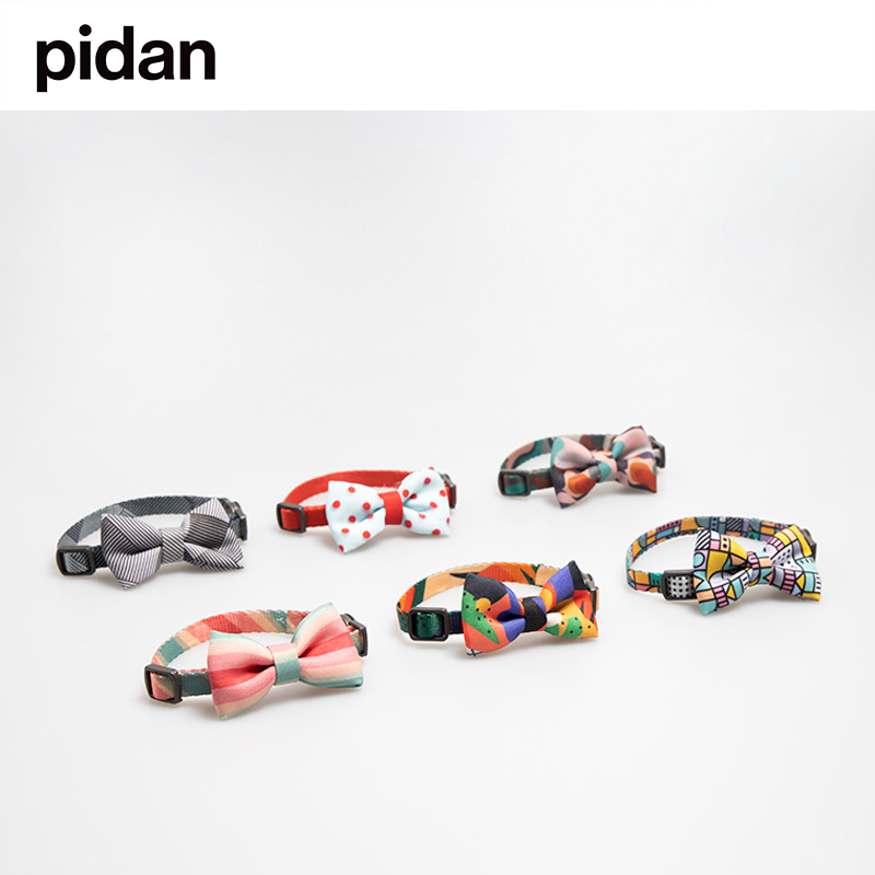 pidan Bow Tie Collar