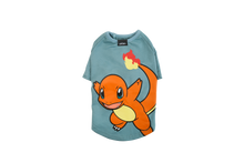 Load image into Gallery viewer, pidan × Pokémon Pet Clothing

